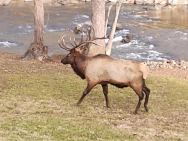 Quality Inn image 26