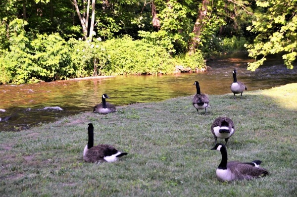 Quality Inn image 35